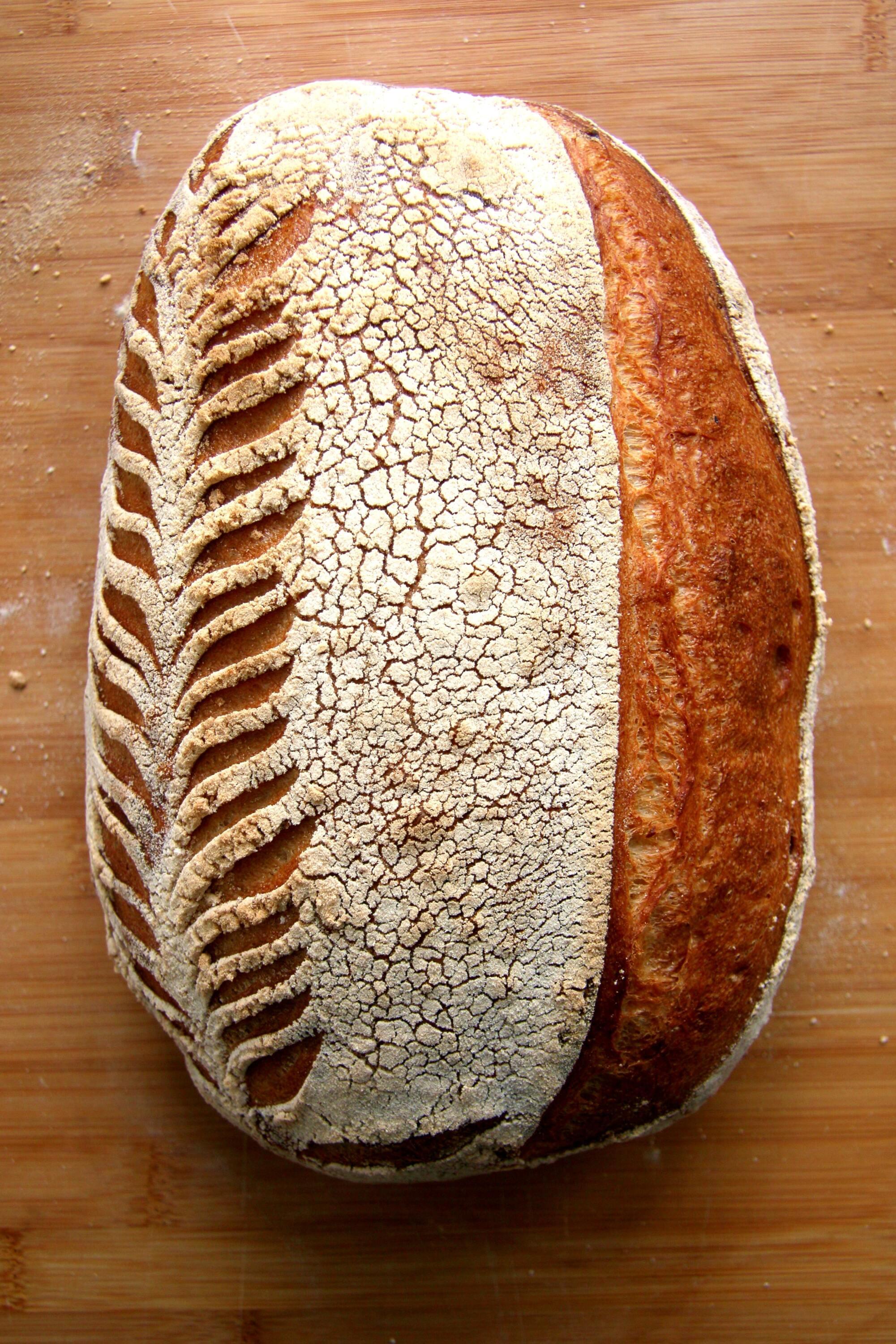 DailyBreadZ Bread of Life