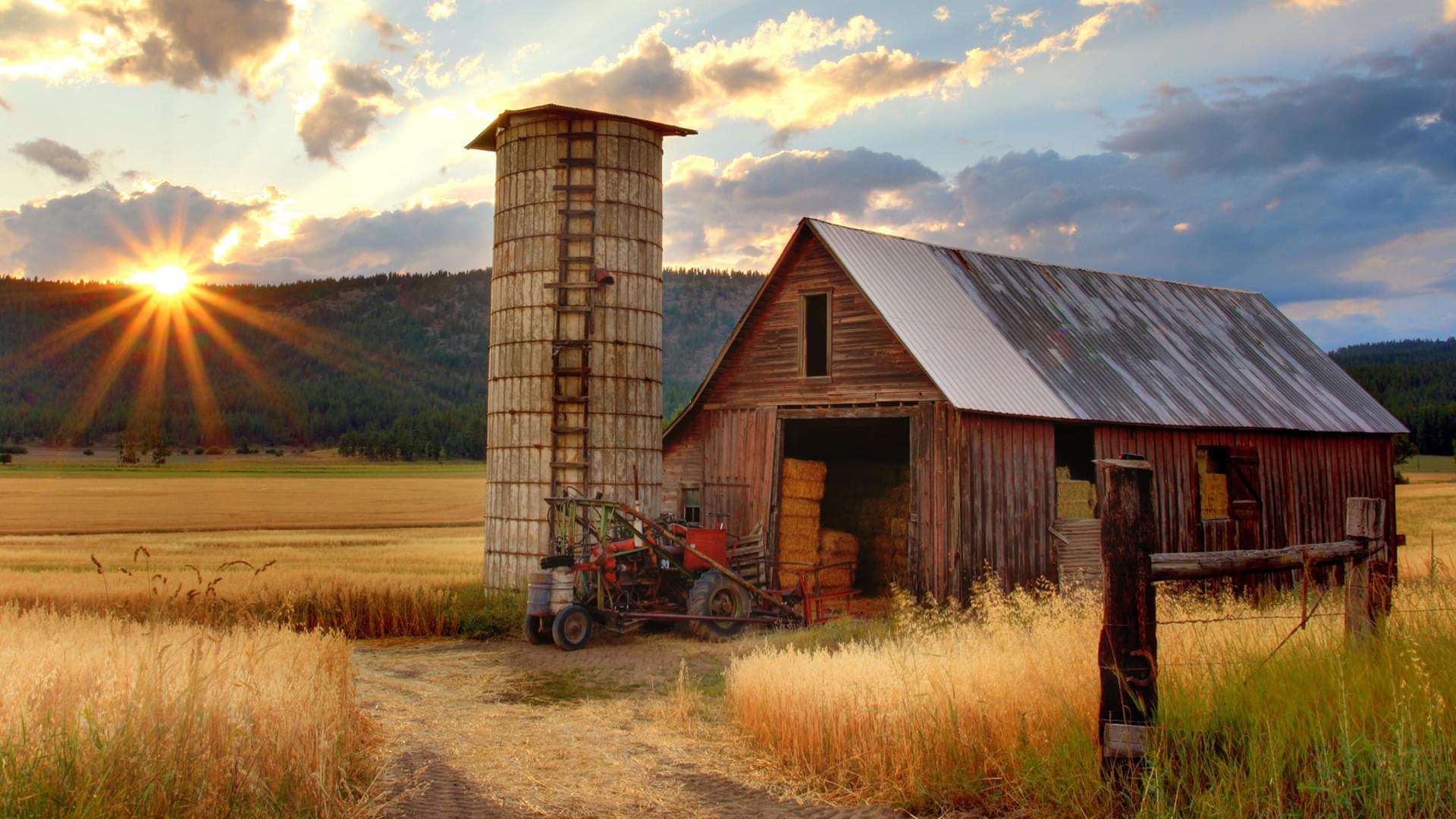 DailyBreadZ Grain Storage